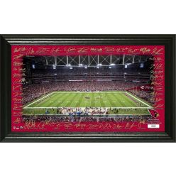 Arizona Cardinals 2020 Signature Gridiron Collection