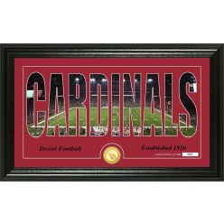 Arizona Cardinals "Silhouette" Panoramic Bronze Coin Photo Mint