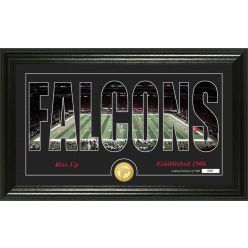 Atlanta Falcons "Silhouette" Panoramic Bronze Coin Photo Mint