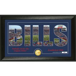 Buffalo Bills "Silhouette" Panoramic Bronze Coin Photo Mint