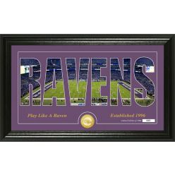 Baltimore Ravens "Silhouette" Panoramic Bronze Coin Photo Mint