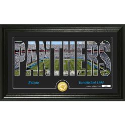 Carolina Panthers "Silhouette" Panoramic Bronze Coin Photo Mint