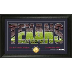 Houston Texans "Silhouette" Panoramic Bronze Coin Photo Mint