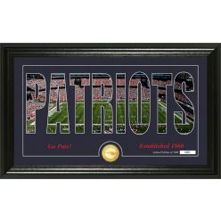 New England Patriots "Silhouette" Panoramic Bronze Coin Photo Mint