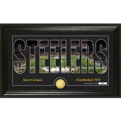 Pittsburgh Steelers "Silhouette" Panoramic Bronze Coin Photo Mint