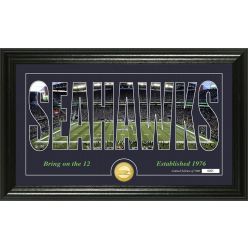 Seattle Seahawks "Silhouette" Panoramic Bronze Coin Photo Mint