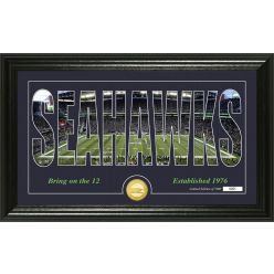 Seattle Seahawks "Silhouette" Panoramic Bronze Coin Photo Mint