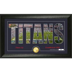 Tennessee Titans "Silhouette" Panoramic Bronze Coin Photo Mint