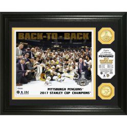 2017 Stanley Cup Champions Bronze Coin Photo Mint