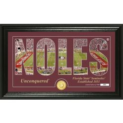 Florida State University "Silhouette" Bronze Coin Photo Mint