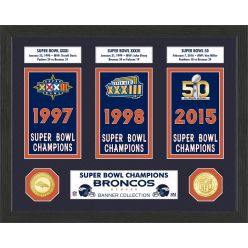 Denver Broncos Super Bowl Banner Collection Photo Mint