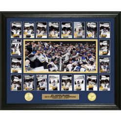 St Louis Blues 2019 Stanley Cup Champions Memorable Moment Bronze coin Photo Mint