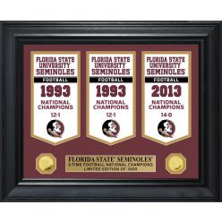 Florida State University Gold Coin Deluxe Banner Collection