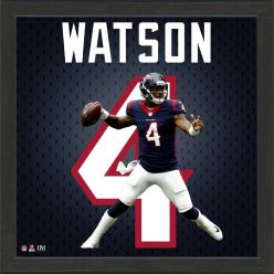 Deshaun Watson Jersey Number Frame