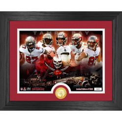 Tampa Bay Buccaneers Team Force Bronze Coin Photo Mint