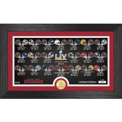 Tampa Bay Buccaneers Super Bowl 55 Victory Bronze Coin Panoramic Photo Mint