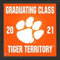 Clemson University 2021 Graduation Pride Photo Mint