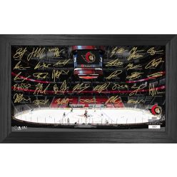 Ottawa Senators 2021 Signature Rink